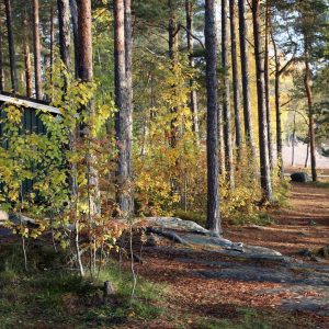 Autumn in Finland