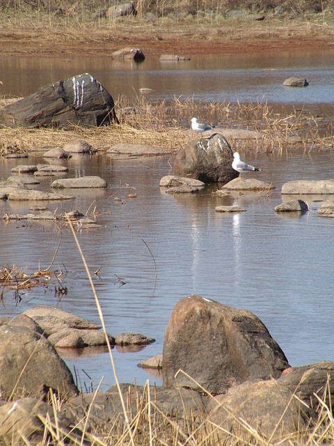 ranta_9541 ranta_9541